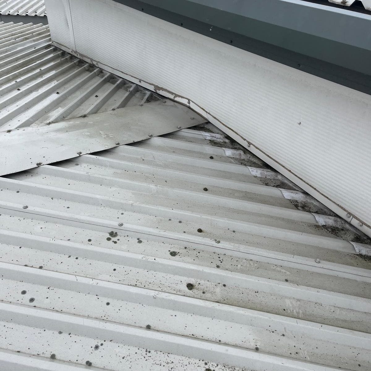 WhatsApp Image 2024-04-09 at 13.18.43 (7) Lee Aldsworth